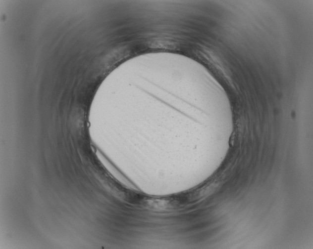 X0000088360265200706191225