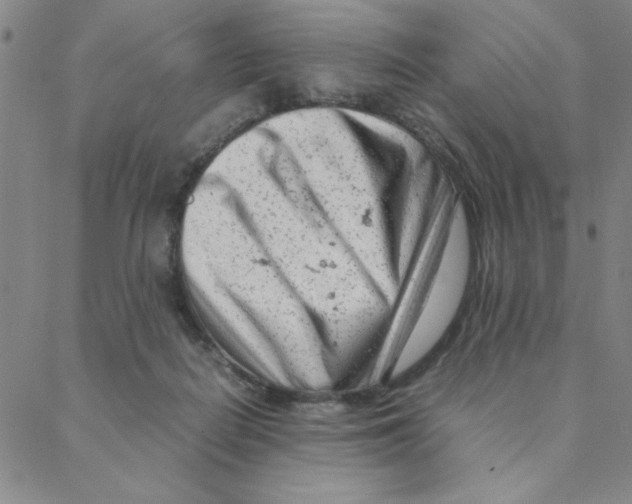 X0000088360266200706191225