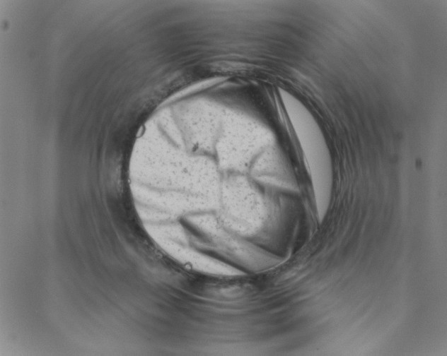 X0000088360267200706191225