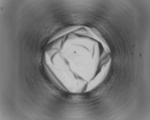 X0000088360268200706191225