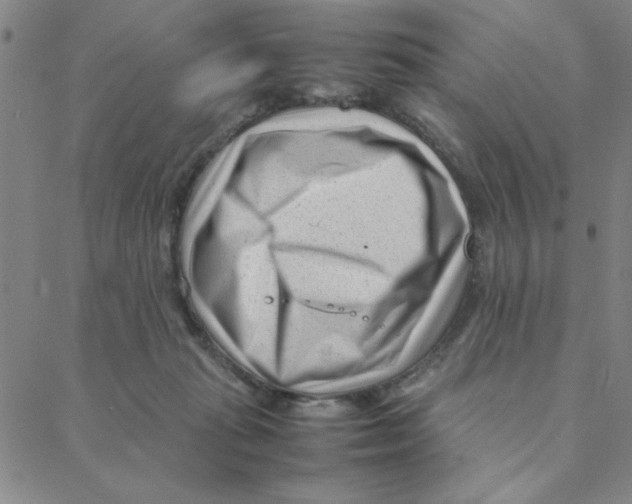 X0000088360269200706191226