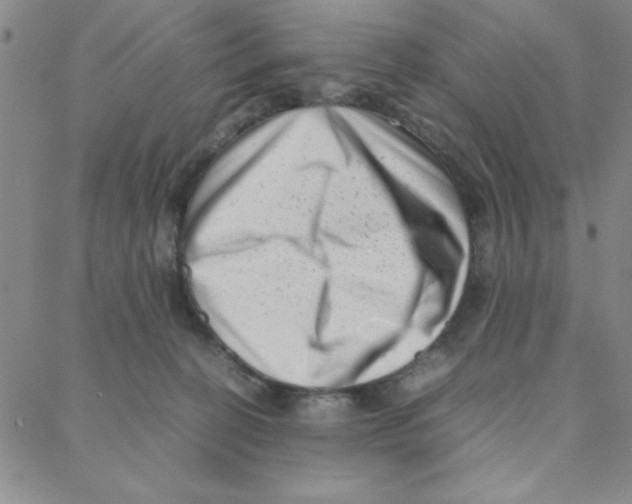 X0000088360274200706191226