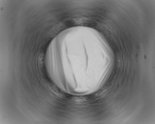 X0000088360275200706191226