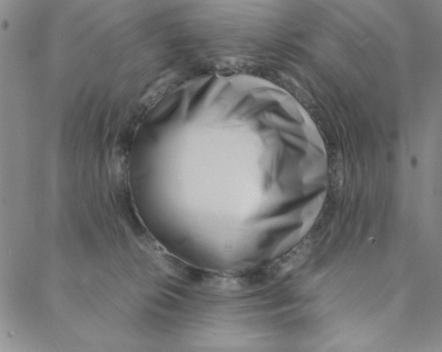 X0000088360276200706191226