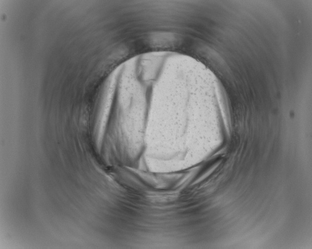 X0000088360277200706191226