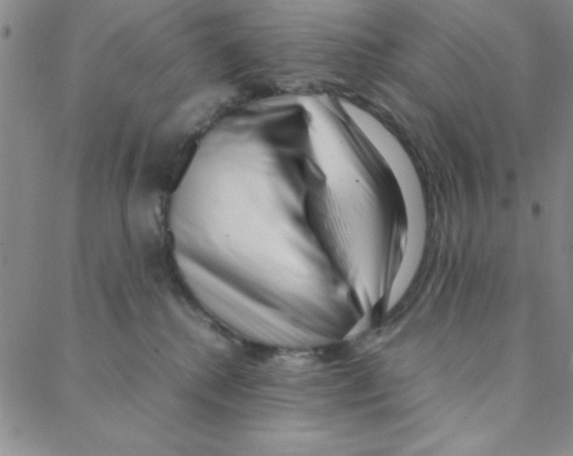 X0000088360280200706191226