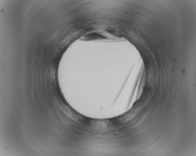 X0000088360282200706191226