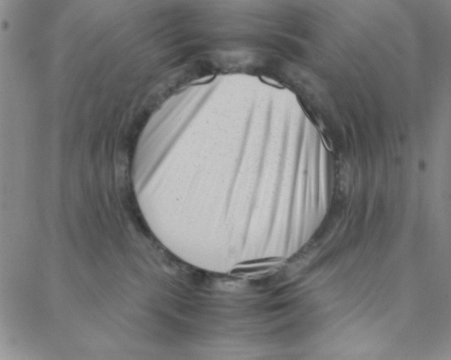 X0000088360283200706191226