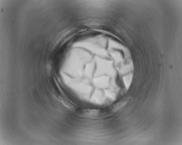 X0000088360288200706191226