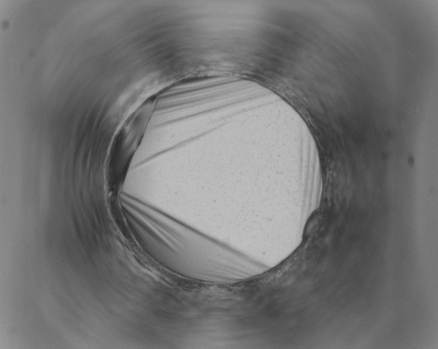 X0000088360290200706191225