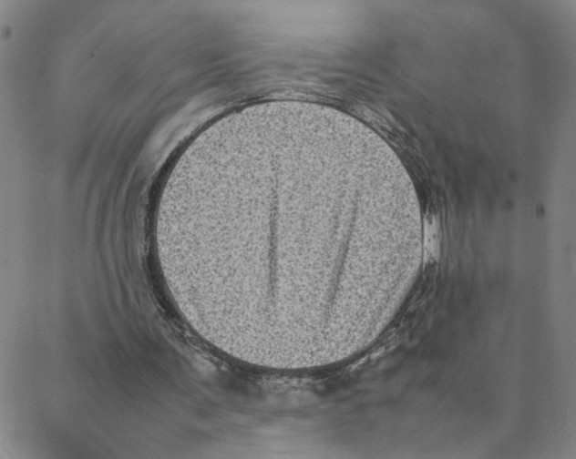 X0000088360291200706191225