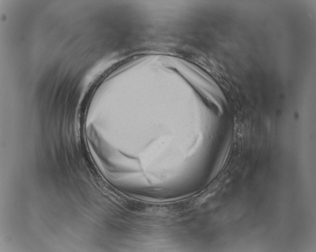 X0000088360294200706191225