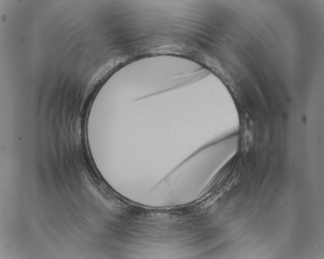 X0000088360298200706191225