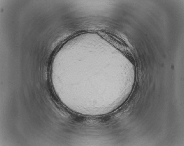 X0000088360299200706191225