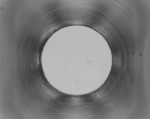 X0000088360302200706191225
