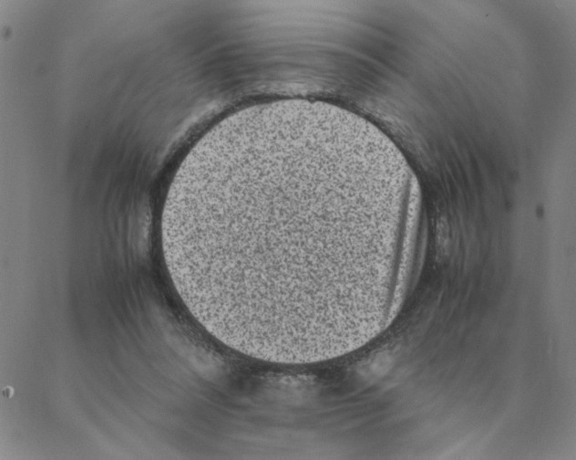 X0000088360304200706191225