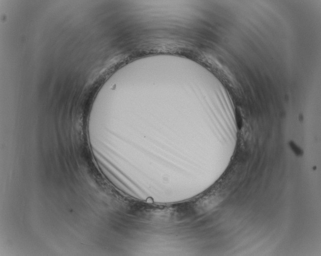 X0000088360306200706191225