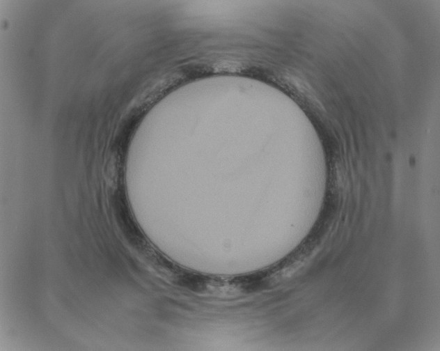 X0000088360311200706191225