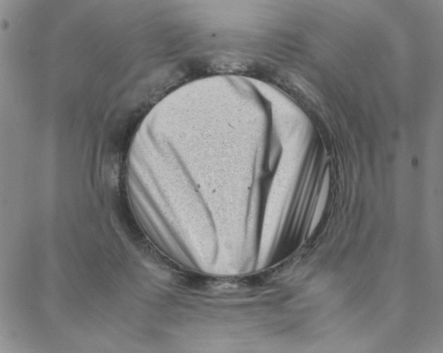 X0000088360315200706191225