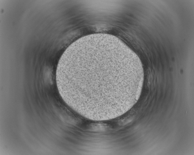 X0000088360316200706191225