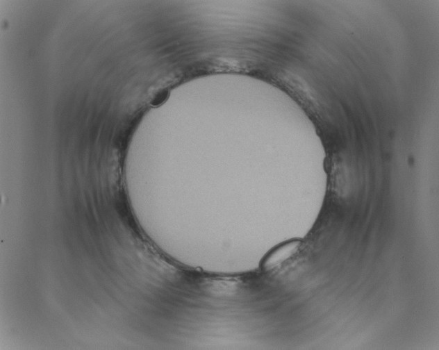 X0000088360318200706191225