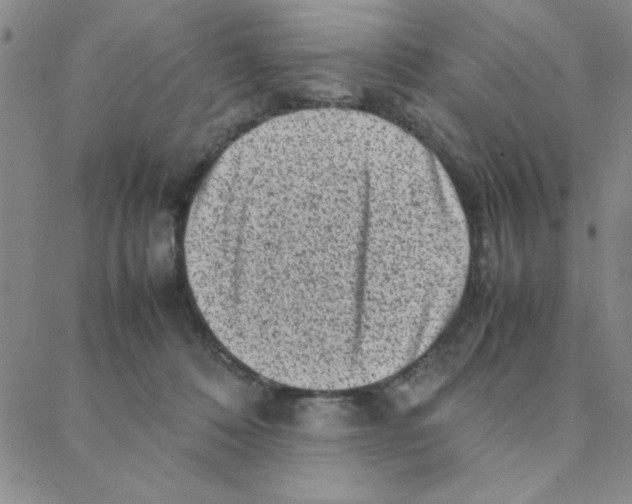 X0000088360320200706191225