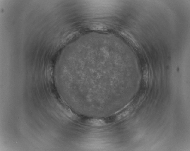 X0000088360322200706191225