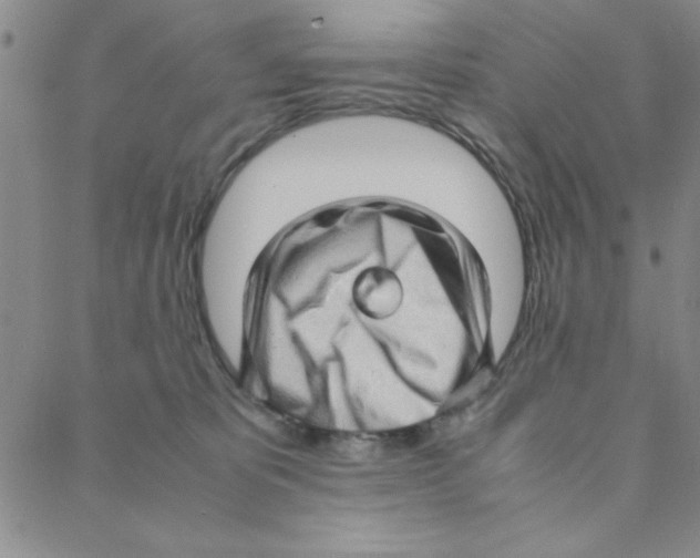X0000088360325200706191224