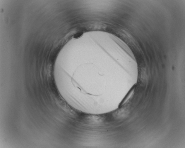 X0000088360326200706191224