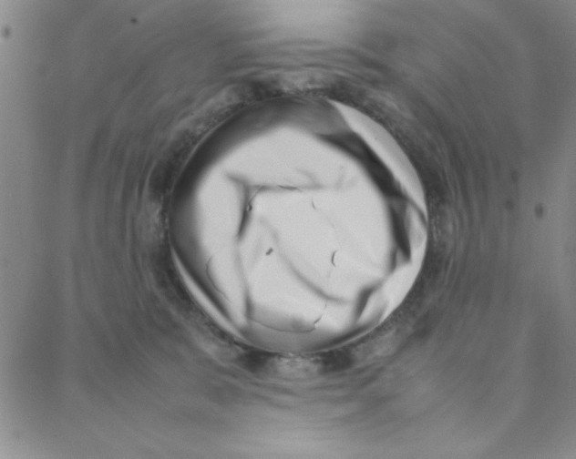 X0000088360327200706191224