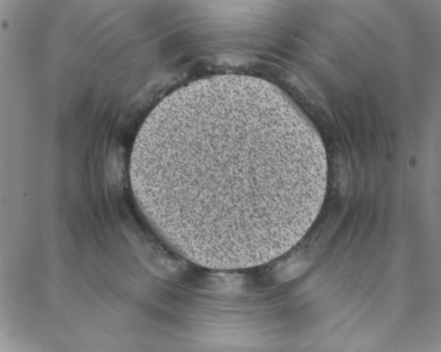 X0000088360328200706191224