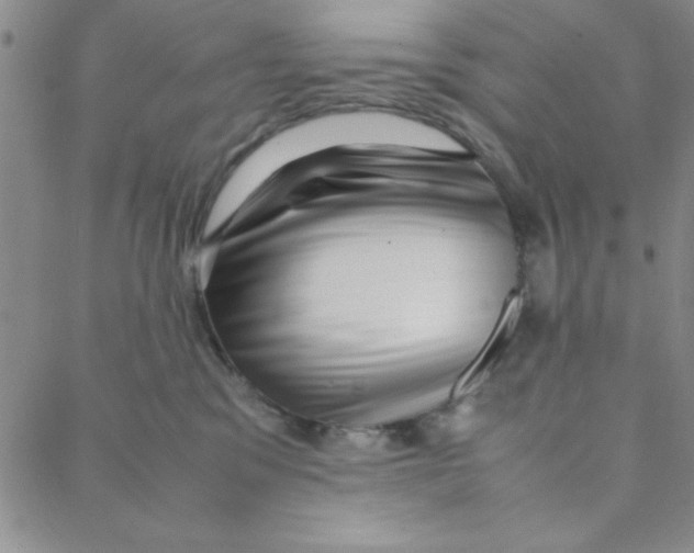 X0000088360329200706191224