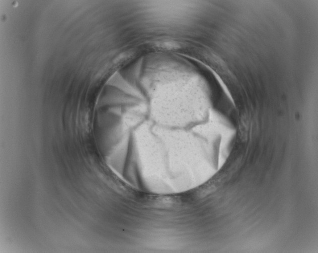 X0000088360330200706191224