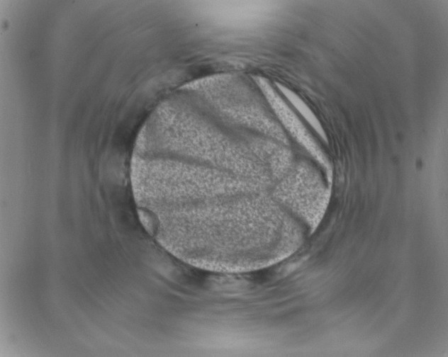X0000088360331200706191224