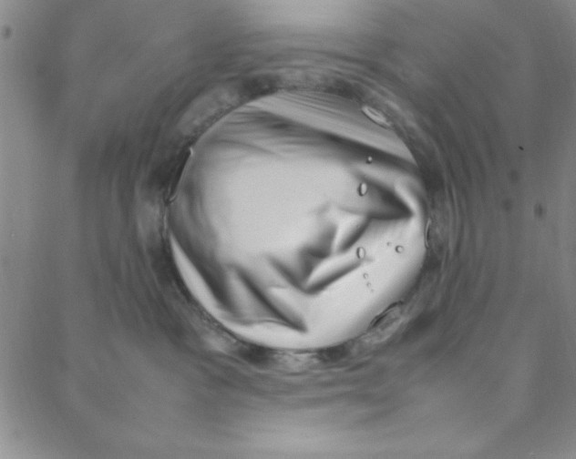 X0000088360333200706191224