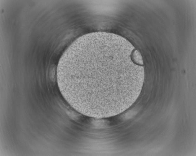 X0000088360336200706191224