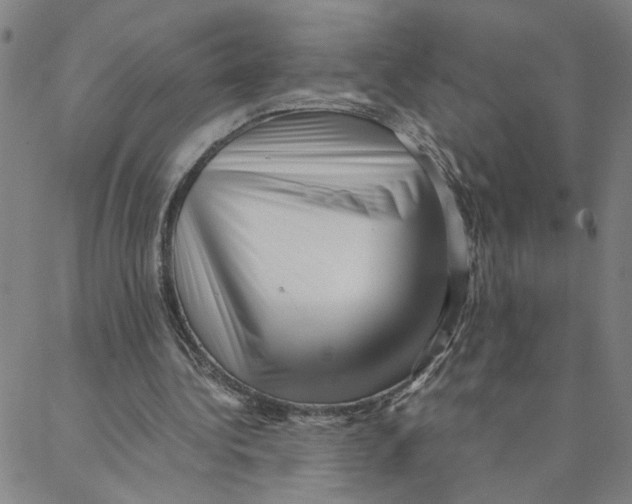 X0000088360340200706191224