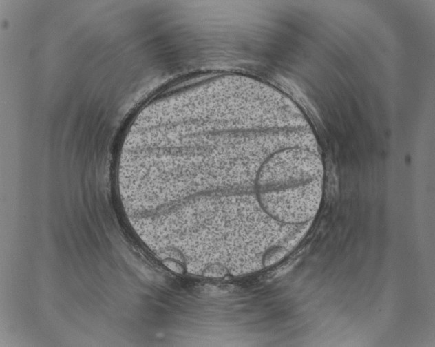 X0000088360346200706191224