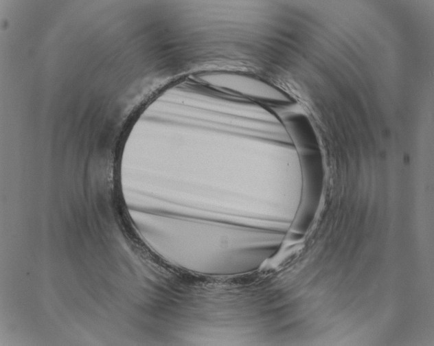 X0000088360348200706191224