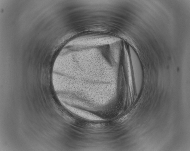 X0000088360349200706191224