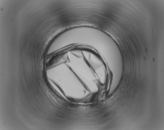 X0000088360350200706191224