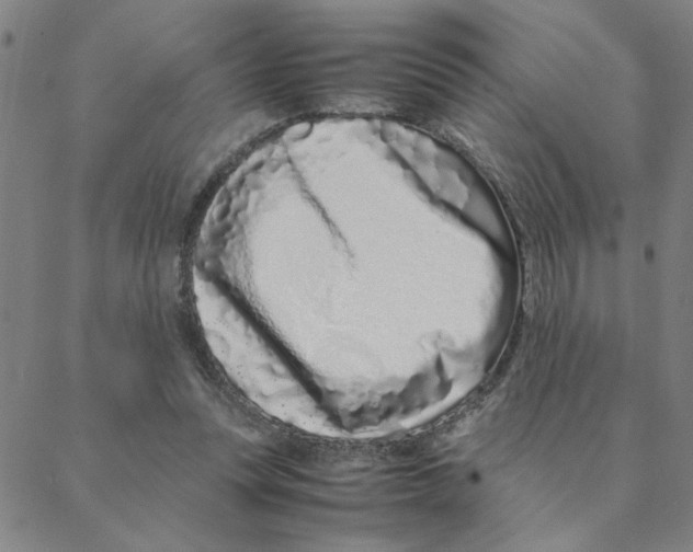 X0000088360351200706191224