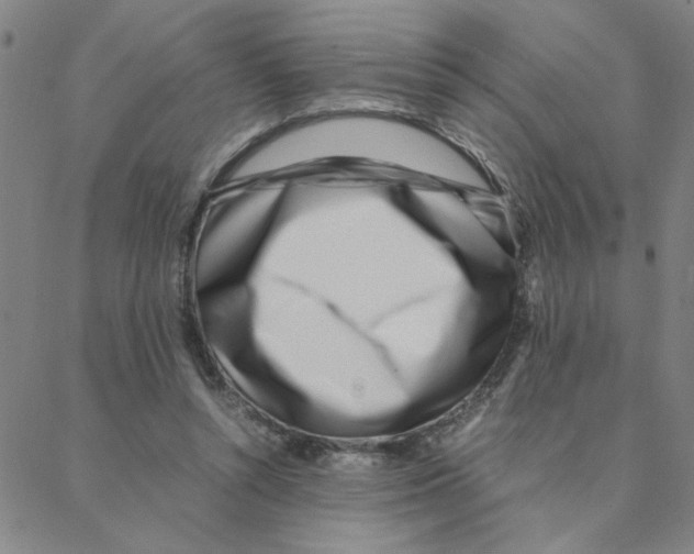 X0000088360352200706191224