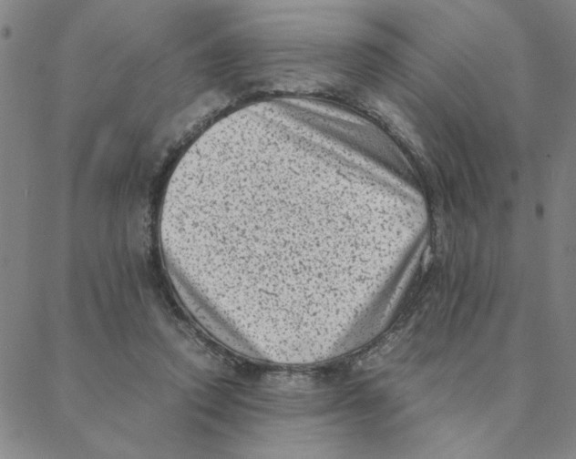 X0000088360354200706191224