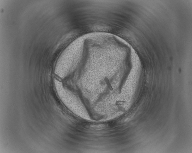 X0000088360357200706191224