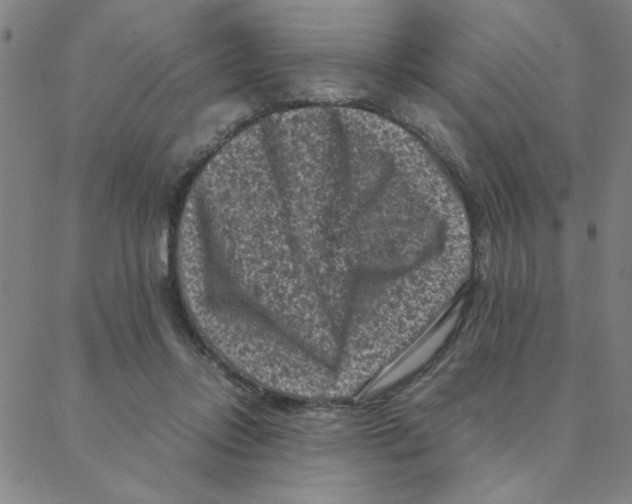 X0000088360358200706191224