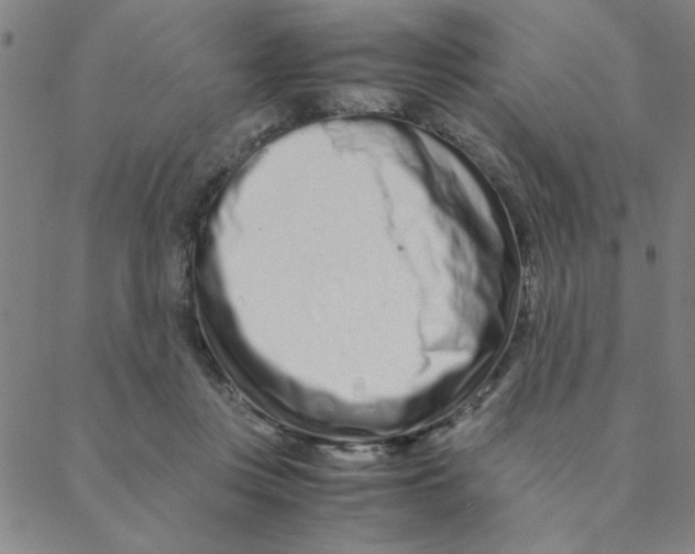 X0000088360359200706191224