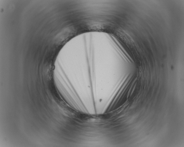 X0000088360364200706191224