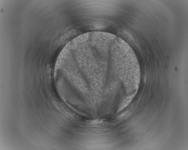 X0000088360366200706191224