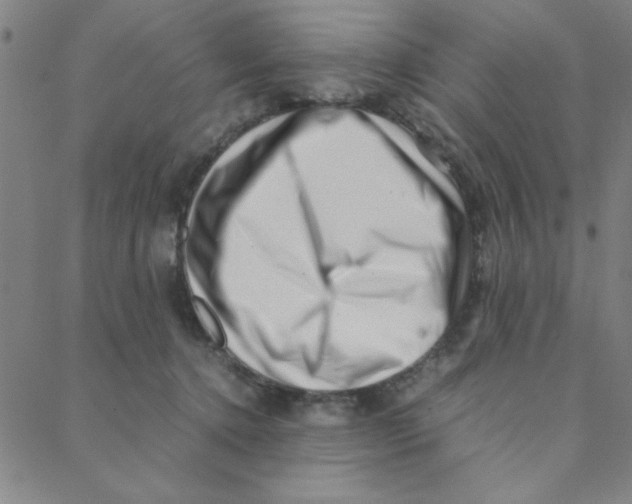 X0000088360368200706191224
